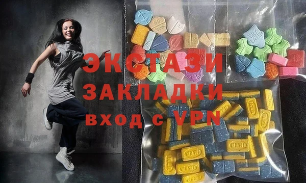 индика Бородино