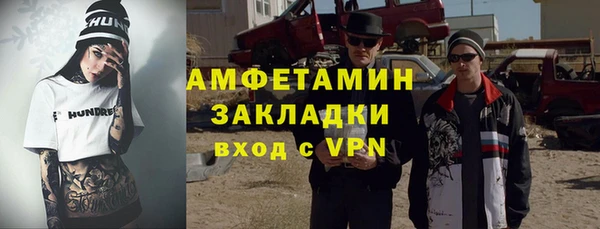 индика Бородино