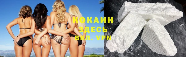 индика Бородино