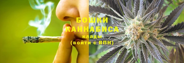 индика Бородино