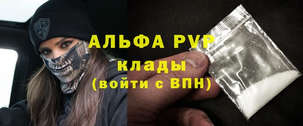 индика Бородино