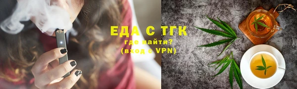 индика Бородино