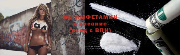 индика Бородино