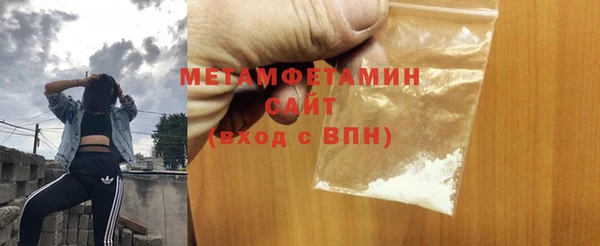 прущие грибы Бронницы