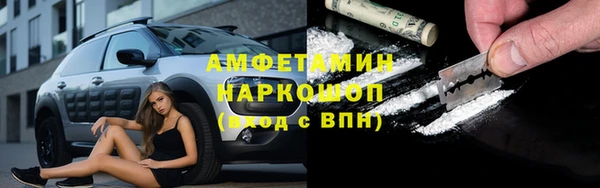 прущие грибы Бронницы