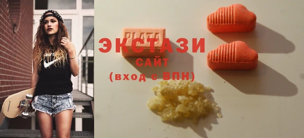 индика Бородино
