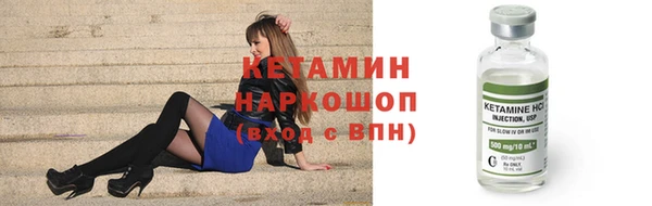 индика Бородино