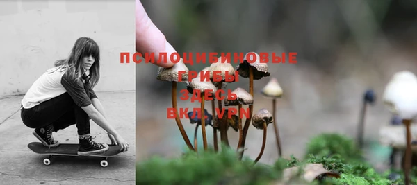 прущие грибы Бронницы
