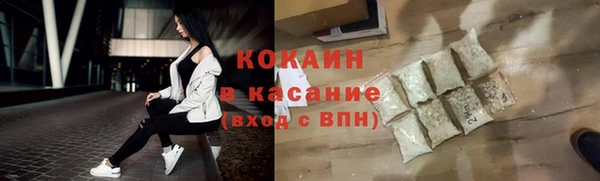 прущие грибы Бронницы