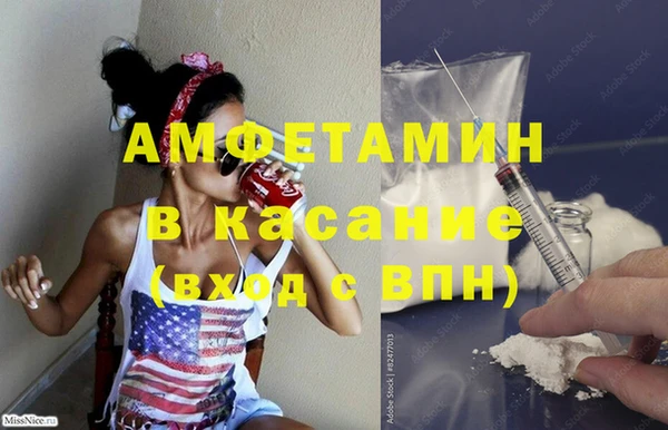 индика Бородино