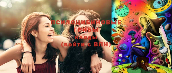 прущие грибы Бронницы