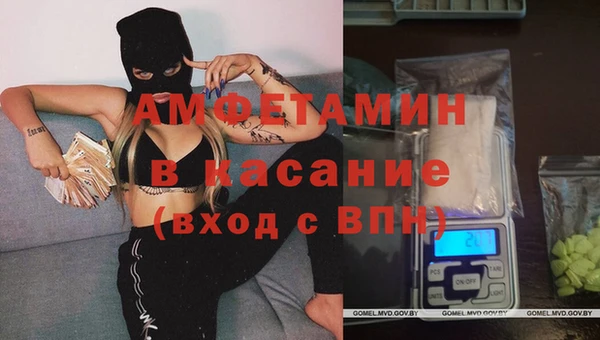индика Бородино