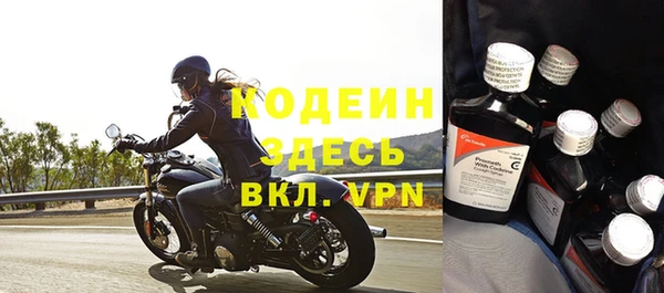 прущие грибы Бронницы