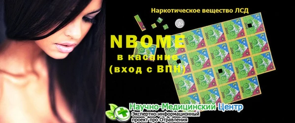 индика Бородино