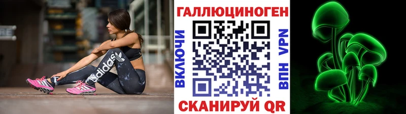 Галлюциногенные грибы Psilocybine cubensis  Купить где  Лабинск 